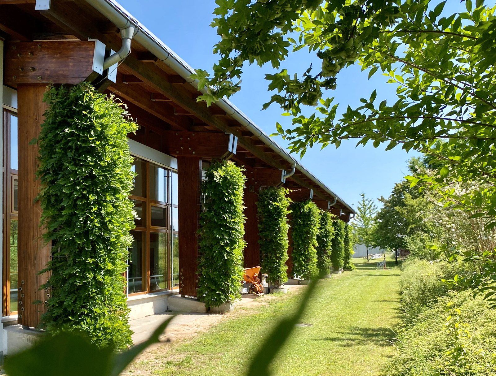 Die Holzfassade des BEYERS AKTIV-PARK mit begrünten Säulen und Wiese